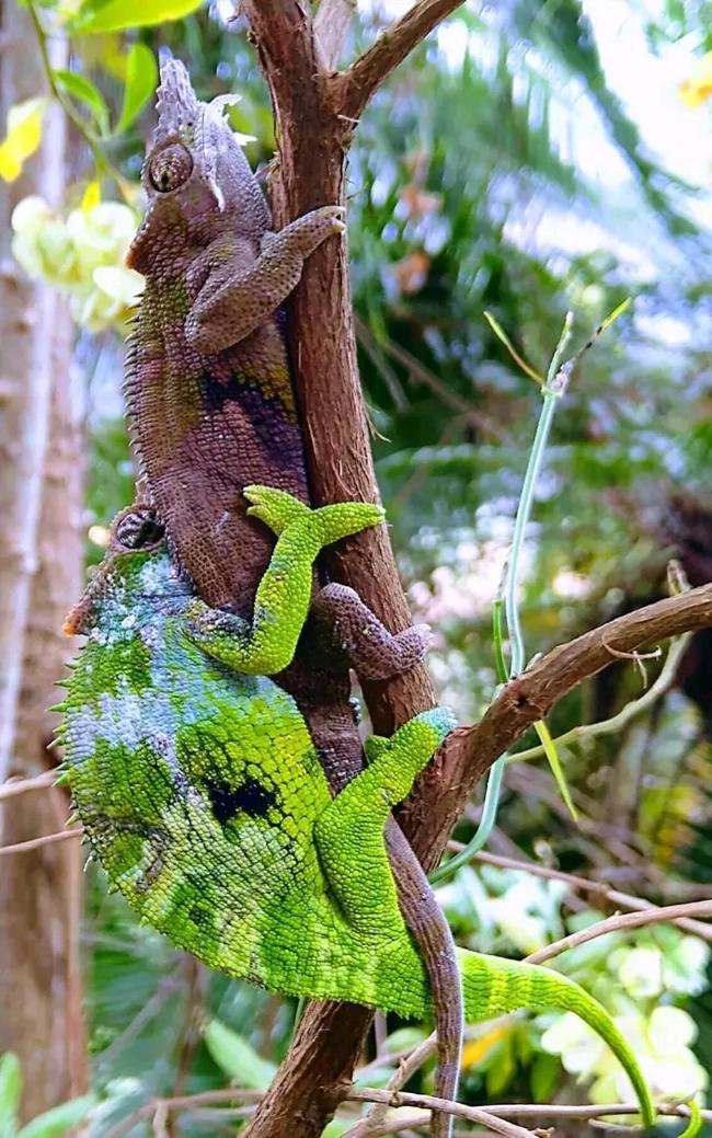 Galapagos Homestay Lushoto ภายนอก รูปภาพ